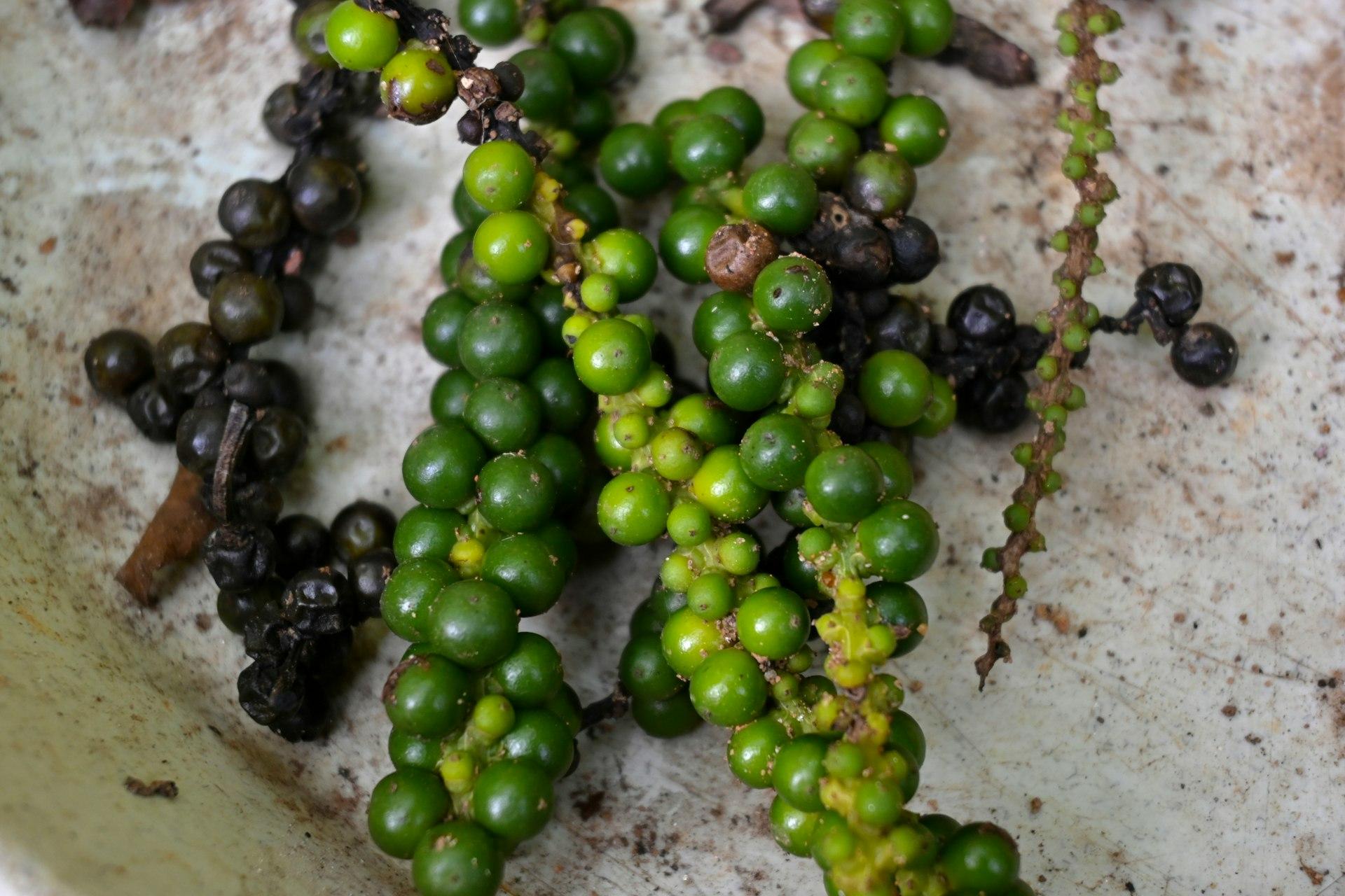 High Vibe Health Black Pepper from The Garden of Eden