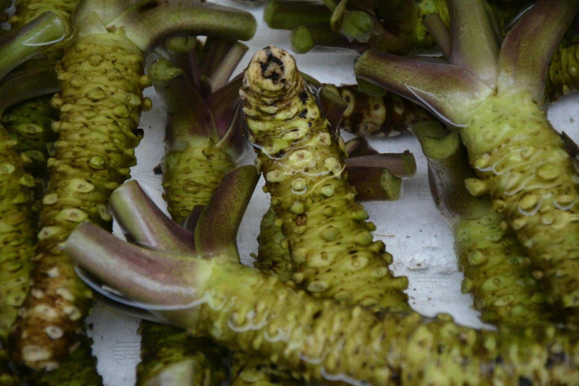 High Vibe Health Wasabi from The Garden of Eden