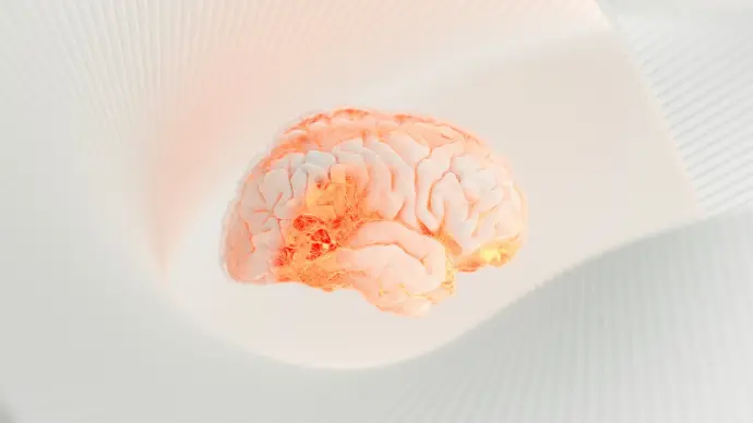 a close up of a human brain on a white surface