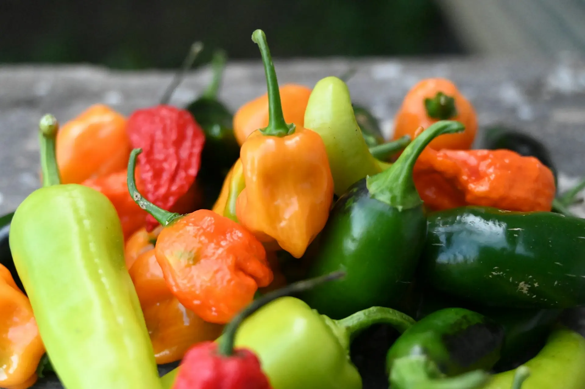 The Garden of Eden spicy peppers