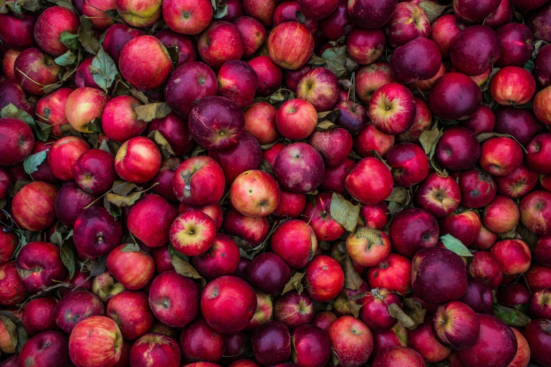Apples to make ACV
