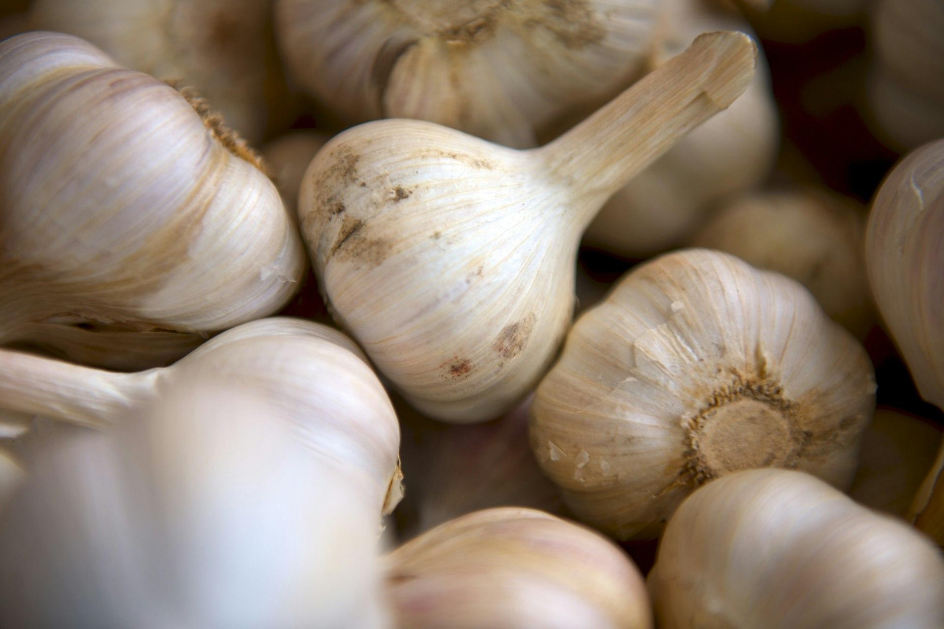 High Vibe Health Garlic from The Garden of Eden