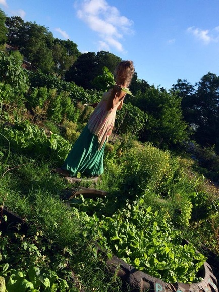Shellie harvests greens from the repurposed monster truck tire raised garden beds