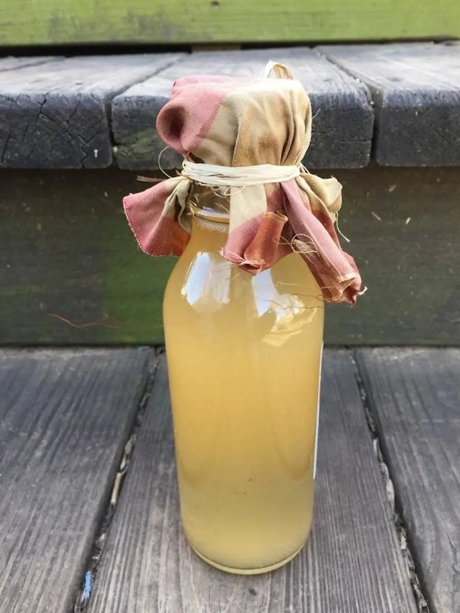 The Garden of Eden Artisan Vinegar