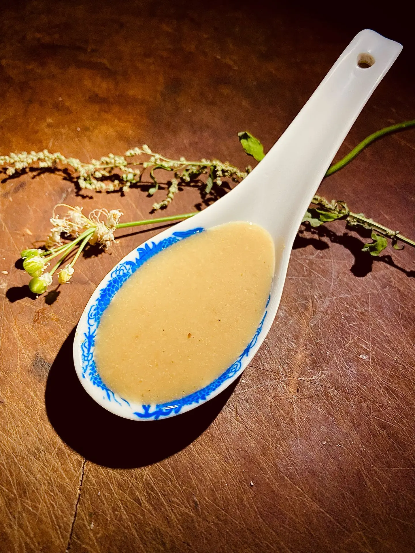 Honey Wasabi Hot Horseradish ACV from The Garden of Eden