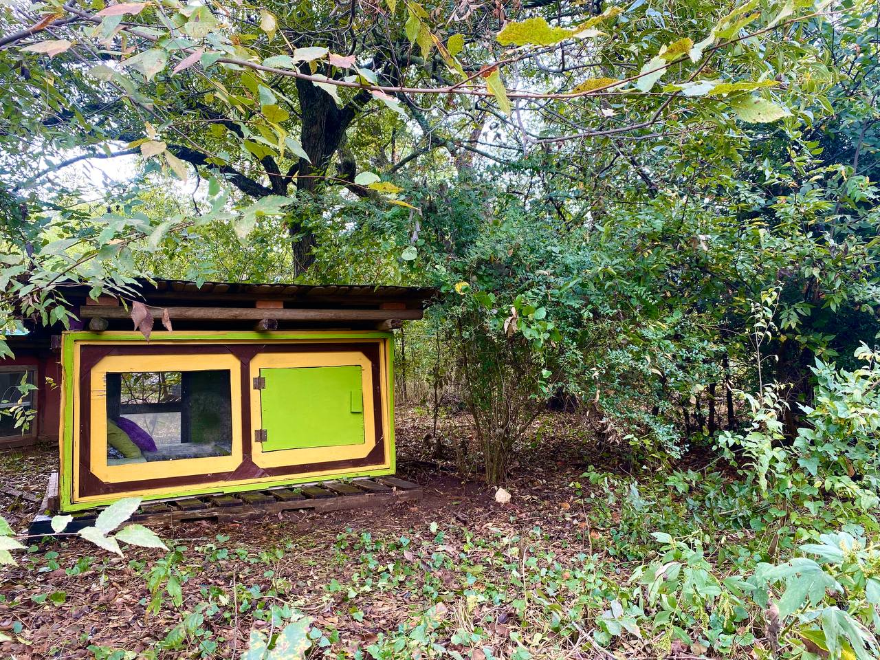 The bright yellow teeny tiny home fits a single bed safe and snug.