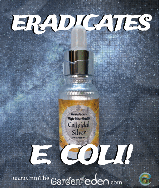 High Vibe Health Colloidal Silver from The Garden of Eden eradicates E. coli!
