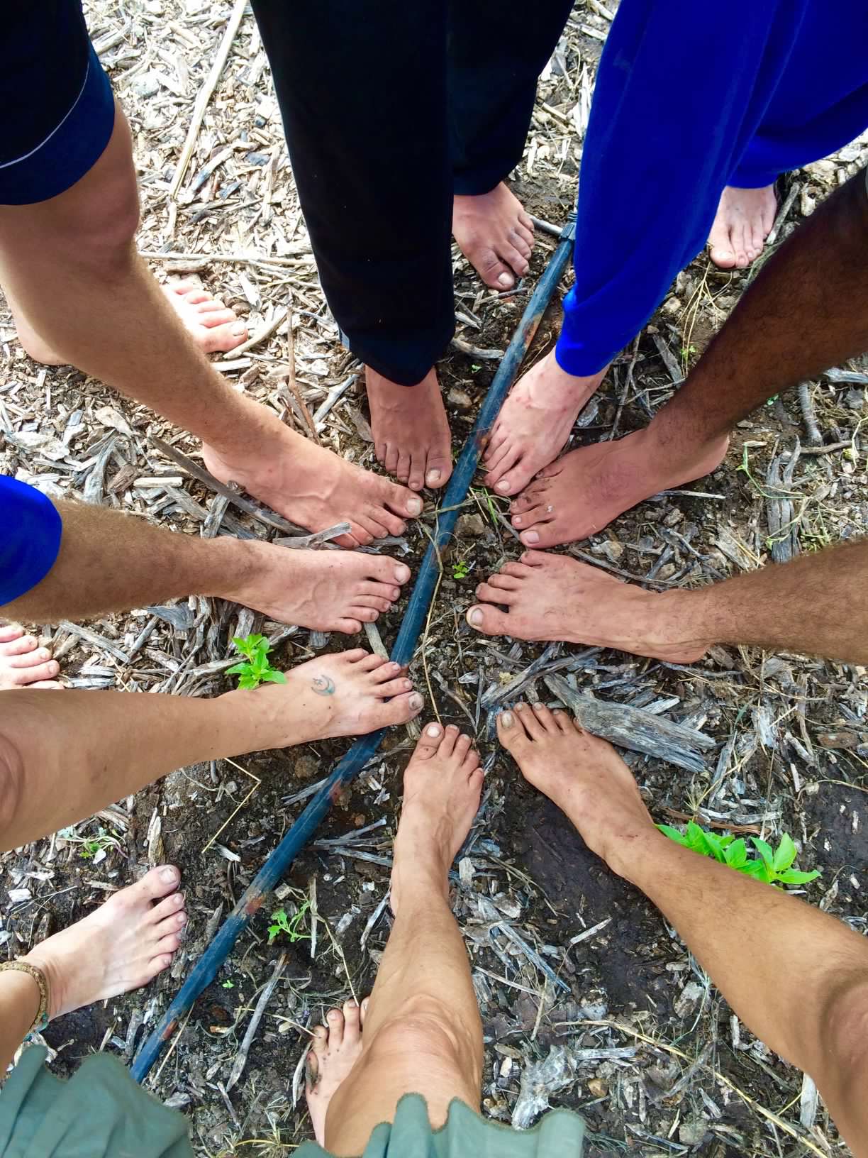 Volunteers working barefoot in the garden