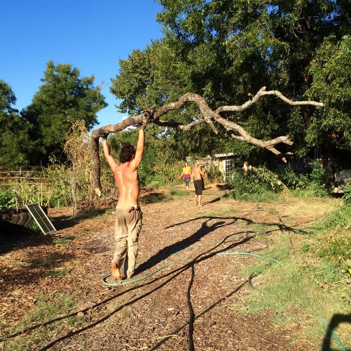 Our volunteers get a sustainable workout while clearing fallen branches