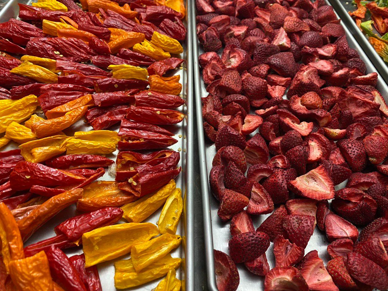 The Garden of Eden freeze dried strawberries and peppers