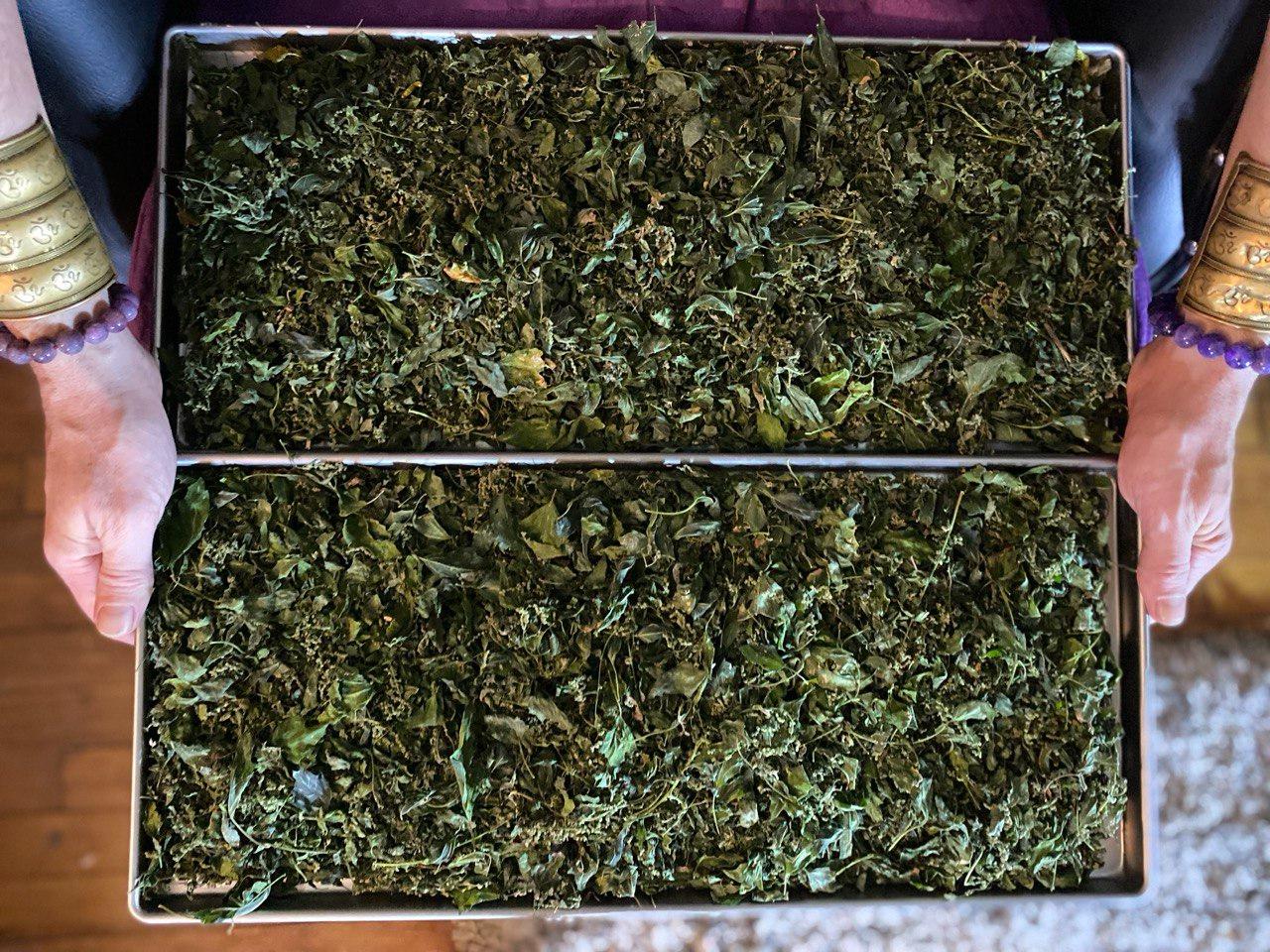 The Garden of Eden freeze dried lamb's quarters