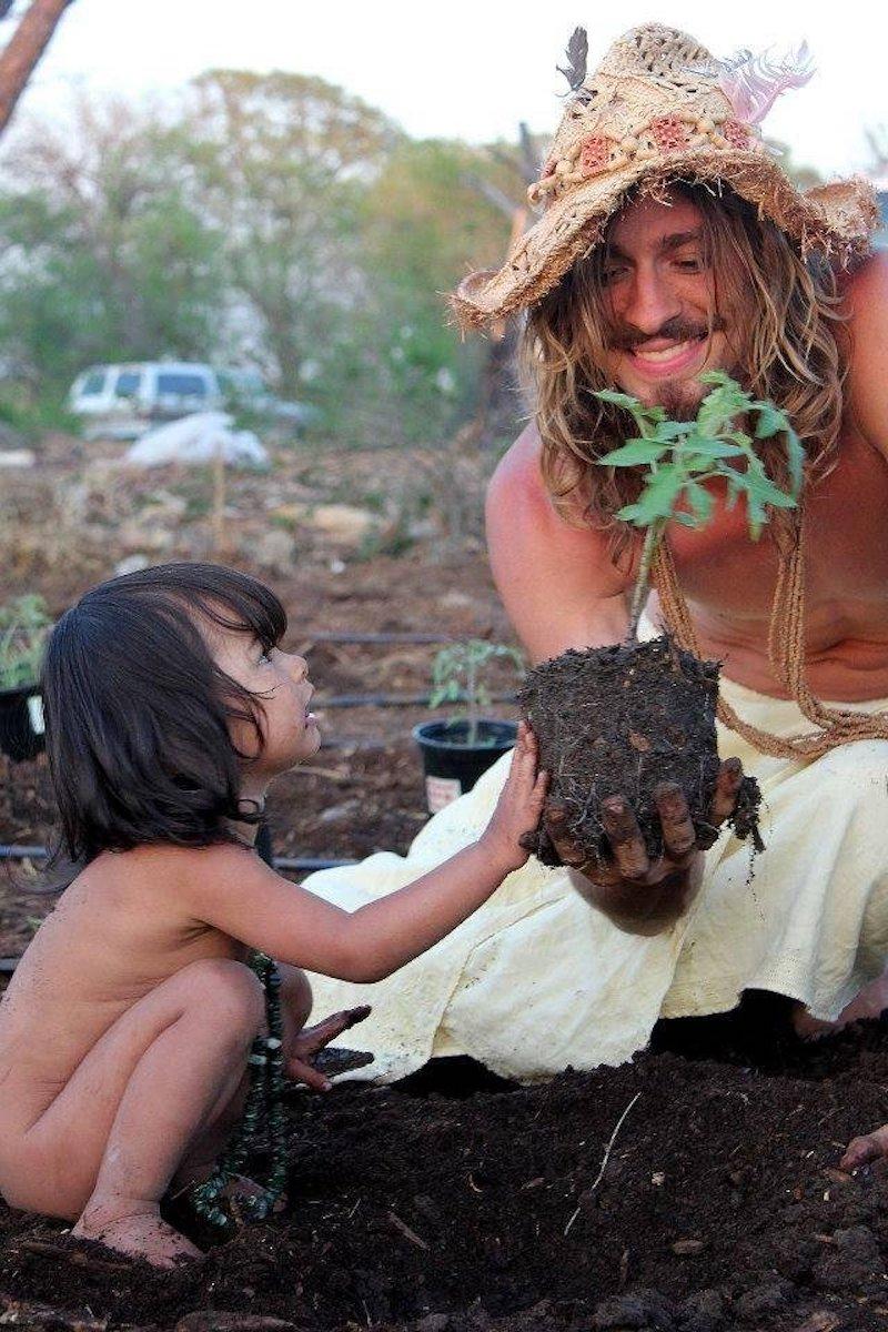 Planting tomatoes in the garden