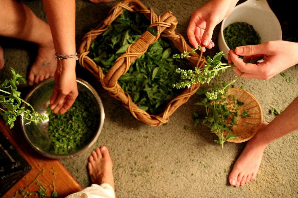 Volunteers process a batch of herbs in The Garden of Eden