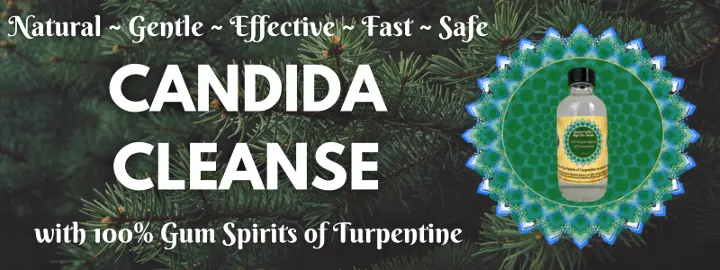 Candida Cleanse with 100% Gum Spirits of Turpentine, High Vibe Health from The Garden of Eden