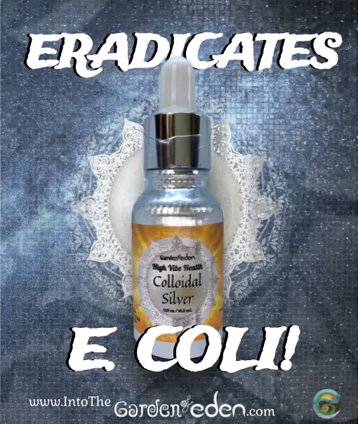 High Vibe Health Colloidal Silver from The Garden of Eden eradicates E. coli!