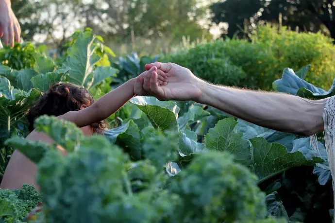 Lending a hand to a wee one to navigate her way through the garden greens.