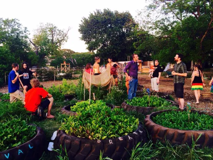 Volunteers at The Garden of Eden tend the raised beds planted in upcycled monster truck tires.