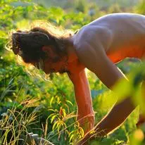 Quinn harvests in The Garden of Eden